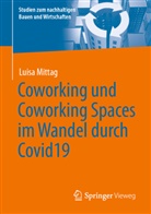 Luisa Mittag - Coworking und Coworking Spaces im Wandel durch Covid19