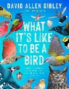David Allen Sibley - What It's Like to Be a Bird (Adapted for Young Readers)