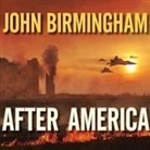 John Birmingham, Kevin Foley - After America Lib/E (Audiolibro)