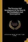 Edward Charles Jeffrey, Royal Society (Great Britain) - The Structure And Development Of The Stem In The Pteridophyta And Gymnosperms