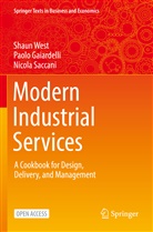 Paolo Gaiardelli, Nicola Saccani, Shaun West - Modern Industrial Services