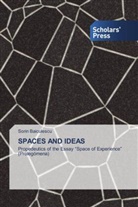 Sorin Baiculescu - SPACES AND IDEAS