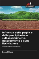 Daniel Nigro - influenza della paglia e della precipitazione sull'assorbimento-desorbimento e sulla lisciviazione