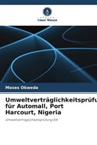 Moses Okweda - Umweltverträglichkeitsprüfung für Automall, Port Harcourt, Nigeria