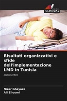 Ali Elloumi, Nizar Ghayaza - Risultati organizzativi e sfide dell'implementazione LMD in Tunisia