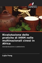 Paul Barry, Lujia Feng, Christopher Rees - Rivalutazione delle pratiche di IHRM nelle multinazionali cinesi in Africa