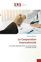 Salomon Malang II - La Cooperation Internationale