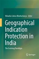 Niharika Sahoo Bhattacharya, Niharika Sahoo Bhattacharya - Geographical Indication Protection in India