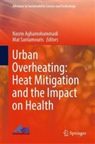 Nasrin Aghamohammadi, Santamouris, Mat Santamouris - Urban Overheating: Heat Mitigation and the Impact on Health