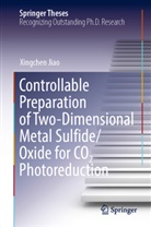 Xingchen Jiao - Controllable Preparation of Two-Dimensional Metal Sulfide/Oxide for CO2 Photoreduction