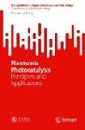 Zhenglong Zhang - Plasmonic Photocatalysis