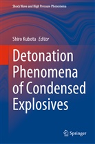 Shiro Kubota - Detonation Phenomena of Condensed Explosives