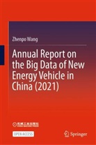 Zhenpo Wang - Annual Report on the Big Data of New Energy Vehicle in China (2021)