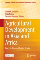 Jonna P. Estudillo, Yoko Kijima, Tetsushi Sonobe - Agricultural Development in Asia and Africa