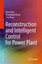 Chuanliang Cheng, Chen Peng, Ling Wang - Reconstruction and Intelligent Control for Power Plant