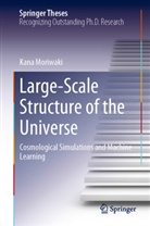 Kana Moriwaki - Large-Scale Structure of the Universe