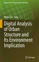 Weijun Gao - Digital Analysis of Urban Structure and Its Environment Implication
