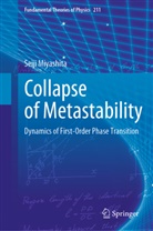 Seiji Miyashita - Collapse of Metastability
