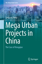 Yanpeng Jiang - Mega Urban Projects in China