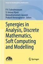 V Antony Vijesh, Balasubramaniam Jayaram, Balasubramaniam Jayaram et al, P. V. Subrahmanyam, Prakash Veeraraghavan, Antony Vijesh... - Synergies in Analysis, Discrete Mathematics, Soft Computing and Modelling