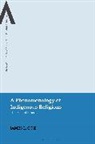James L Cox, James L. Cox, Cox James L., Bettina E. Schmidt, Steven Sutcliffe - A Phenomenology of Indigenous Religions