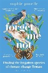 Sophie Pavelle - Forget Me Not