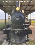 Tony T. Azevedo - A Diamond in the Rough: How to Buy a Train