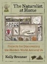 Kelly Brenner - The Naturalist at Home