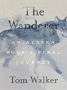 Tom Walker - The Wanderer