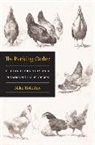 Niko Kolodny, Kolodny Niko - Pecking Order