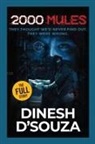 Dinesh D'Souza - 2,000 Mules