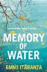 Emmi Itaranta, Emmi Itäranta - Memory of Water