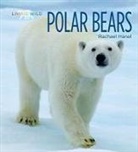 Rachael Hanel - Polar Bears