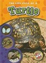 Colleen Sexton - The Life Cycle of a Turtle