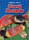 Colleen Sexton - Coral Snakes