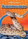 Colleen Sexton - Rattlesnakes
