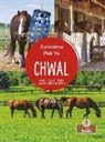 Amy Culliford - Chwal (Horses)