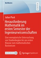 Julian Plack - Herausforderung Mathematik im ersten Semester der Ingenieurwissenschaften
