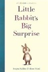 Swapna Haddow, Alison Friend - Little Rabbit's Big Surprise