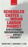 S Madheswaran, Sukhadeo Thorat, Sukhadeo (Professor Emeritus Thorat, Thorat Sukhadeo, B P Vani - Scheduled Castes in the Indian Labour Market