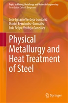 Fernández-González, Daniel Fernández-González, José Ignacio Verdeja González, Luis Felipe Verdeja González - Physical Metallurgy and Heat Treatment of Steel
