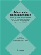 Alberto Carpinteri, Yiu-Wing Mai, Robert O Ritchie, Robert O. Ritchie - Advances in Fracture Research