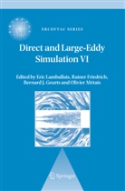Rainer Friedrich, Bernard J Geurts, Bernard J. Geurts, E. Lamballais, Olivier Métais - Direct and Large-Eddy Simulation VI. Vol.6