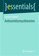 Samuel Salzborn - Antisemitismustheorien