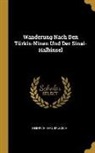 Heinrich Karl Brugsch - Wanderung Nach Den Türkis-Ninen Und Der Sinai-Halbinsel