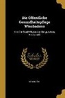 H. Rahlson - Die Öffentliche Gesundheitspflege Wiesbadens: Von Der Stadt Wiesbaden Dargebotene Festschrift