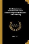 Ludwig Klein - Die Botanischen Naturdenkmäler Des Grossherzogtums Baden Und Ihre Erhaltung