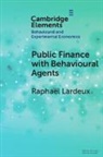 Raphael Lardeux, Raphaël Lardeux, Raphael (Insee and Cred Universite Paris Lardeux - Public Finance With Behavioural Agents