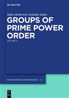 Yakov Berkovich, Zvonimir Janko - Yakov Berkovich; Zvonimir Janko: Groups of Prime Power Order - Volume 3: Groups of Prime Power Order. Volume 3. Vol.3