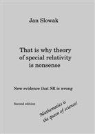 Jan Slowak - That is why theory of special relativity is nonsense